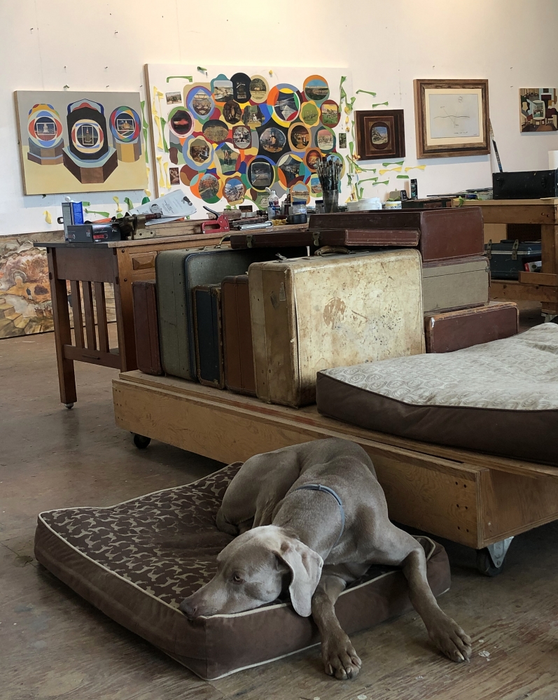 Weimeraner dog snoozes in painting studio 