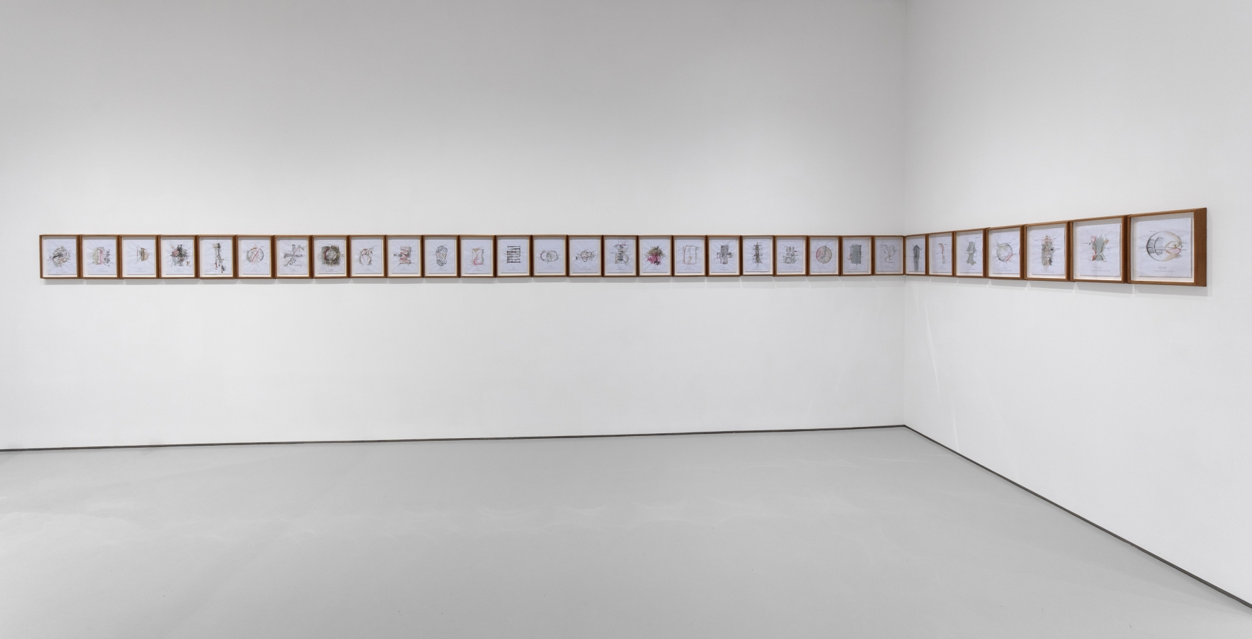 Jitish&amp;nbsp;Kallat
Integer Studies (Drawings from Life), 2021
Graphite and aquarelle pencil, stained gesso, organic gum on Bienfang Gridded Paper
suite of 31 drawings, 11 1/2 x 14 1/8 inches (29,2 x 35,9 cm) each
SW 21155
&amp;nbsp;